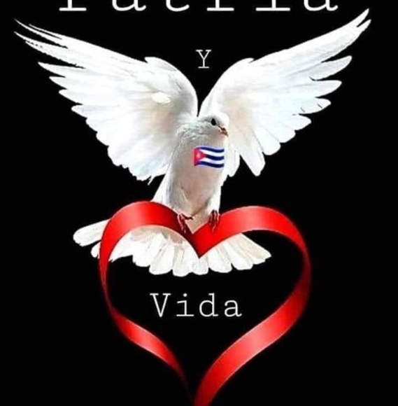 Meet your Posher, Pedro - Picture 1 of 1